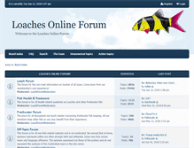 Tablet Screenshot of forums.loaches.com