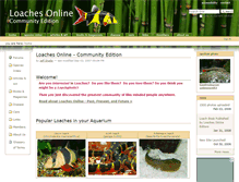 Tablet Screenshot of loaches.com